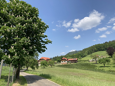 Breitenberg